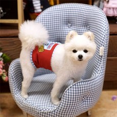 힐링캠프 매너벨트 레드 강아지 수컷용 애견용품, 더블유엘티◈ L_♣