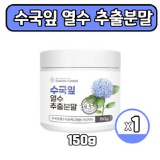 배브릭작품산수국