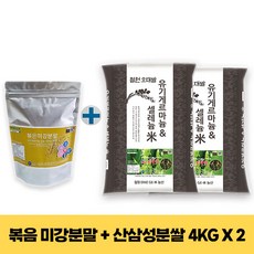 용평리조트피크아일랜드종일권