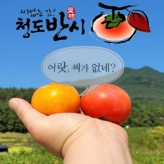 홍시과실주