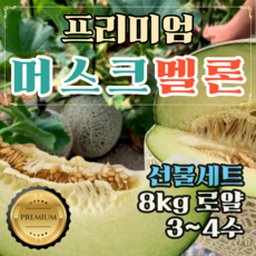 머스크멜론선물세트