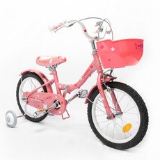 아이바이크자전거