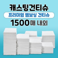 건티슈2.5