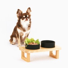 [퍼리굿] 강아지 고양이 밥그릇 고급 원목 도자기 식기세트 2구 클리어트레이 & 도자기식기, 블랙, 1개