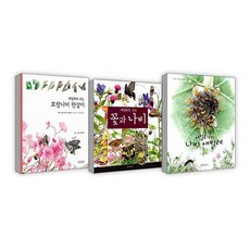 호랑나비애벌레