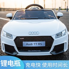 아우디푸쉬카캐노피