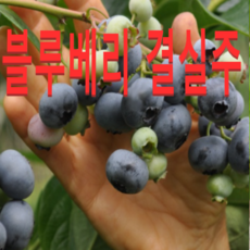 df2bf928897eabbf5349a7e05736fcfc0f15703259fe4831a2e001dc0224.png