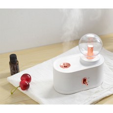 피톤치드가습기