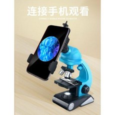주사전자현미경