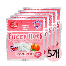 퍼지락 자일리톨 무설탕 캔디 피치 5SET, 40g, 5개