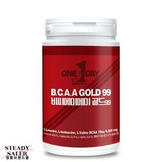 원데이뉴트리션 BCAA 골드99 300g