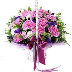 카네이션꽃바구니 어버이날선물 스승의날선물 축하꽃배달, A01 핑크카네이션