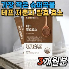 플러스 테프 발효효소 차전자피분말 바나바잎 비타민 미네랄 유산균, 3개, 90g