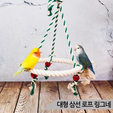 스프링그네