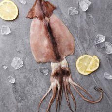 포항 마싯구룡 반건조 큰 오징어, 반건조 오징어 5미, 5미(550g 내외), 1개