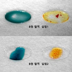 혈액형판정실험 가격 낮은 리스트 추천 봅시다