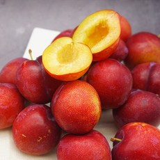 과일특공대
