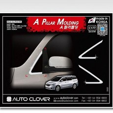 카니발티비브라켓