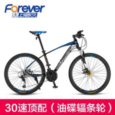 그래블전기자전거