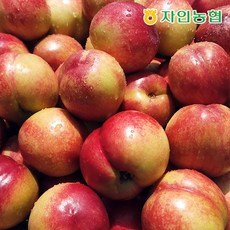 맛있는 경북 자인농협 신비복숭아 750gx4팩 총3kg