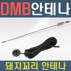 위성dmb(s-dmb)