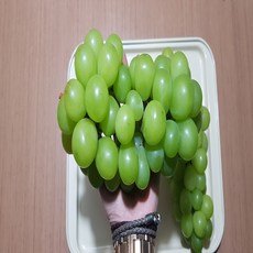 247edb298b7a936ae398ec46a10d94c1a962afb10b675f3e639b43e198d4.jpg