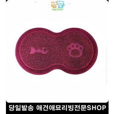 고양이초보집사되기