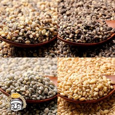 제주푸드마씸 담은제주 제주보리 4종 옵션(청/컬러/노랑/까망 제주산), 담은제주 우도 까망보리 500g