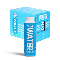 JUST Water 저스트 워터 알카라인 샘물 500ml 12팩, 1세트