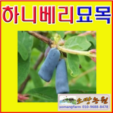 5f08d0faa0d4964e7d98395afa81da31ab0125cc7337c72c62b9e6c410e1.png