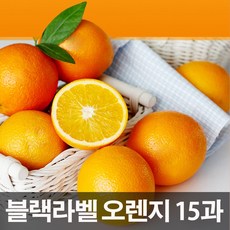 nm-023오렌지레자