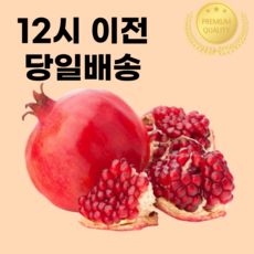 [항공직송] 생 석류 생과 꽉찬 프리미엄 17brix 이상, 1박스, 4kg