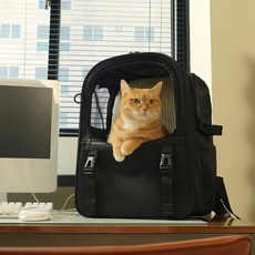 인더코코 강아지 고양이 코코백 백팩