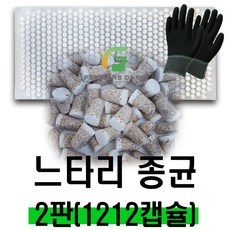 [파머스케어] 느타리 버섯 종균 (2판 1212알) 캡슐형 종균버섯 표고 느타리 버섯 키우기, 느타리 캡슐종균 2판(1212알) + 장갑