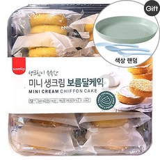 파리바게트생크림케이크