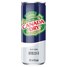 코카콜라 캐나다 드라이 클럽소다, 250ml, 60개