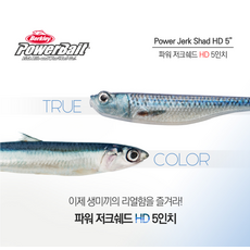 [버클리] 파워 저크쉐드 HD 5인치 광어다운샷 파워베이트, HDGRL 노래미