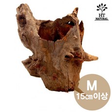 세틀 프리미엄 그루터기 유목 M 자연우드 15cm이상 어항 수족관 그루터기 우드 은신처, 1개