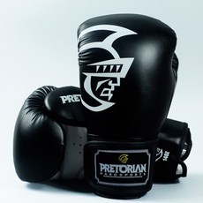 노복싱노라이프