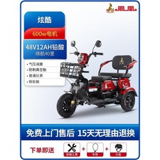 노인 전동스쿠터 어르신 전동차 오토바이 삼발이 3발 스쿠터, 2.쿨600w48V12ah납산+40마일