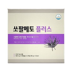 부광약품 쏘팔메토 플러스 500mg x 180캡슐 약국용 전립선 건강 지구력 증진, 1개, 90정