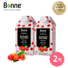 본네 핀란드 아세로라 퓨레 주스 500ml 2팩, 단일속성