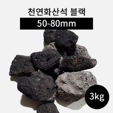 천연산호