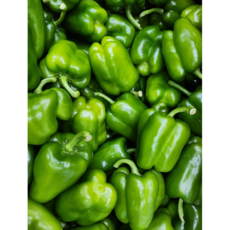 [국내산]산지직송 신선한 청피망 못난이 피망 피망파프리카, 1개, 2kg