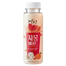 설빙 자몽에이드 250ml 12개/냉장무료배송, 12개