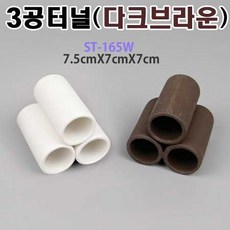 열대어오토싱