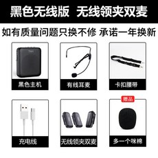 브리츠강사마이크