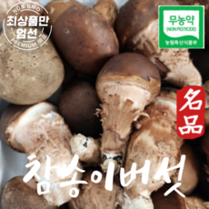 국내산 무농약 참송이버섯 가정용 1kg