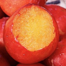 입안가득 새콤달달 맛있는 자두 햇자두