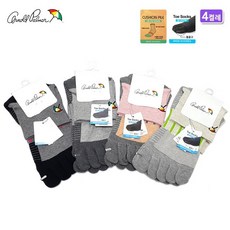 아놀드파마ap6901